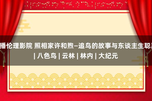 快播伦理影院 照相家许和煦—追鸟的故事与东谈主生聪惠 | 八色鸟 | 云林 | 林内 | 大纪元