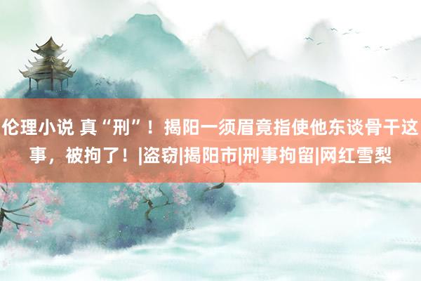 伦理小说 真“刑”！揭阳一须眉竟指使他东谈骨干这事，被拘了！|盗窃|揭阳市|刑事拘留|网红雪梨