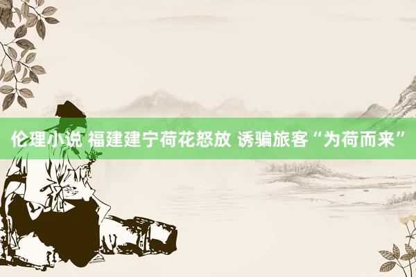 伦理小说 福建建宁荷花怒放 诱骗旅客“为荷而来”